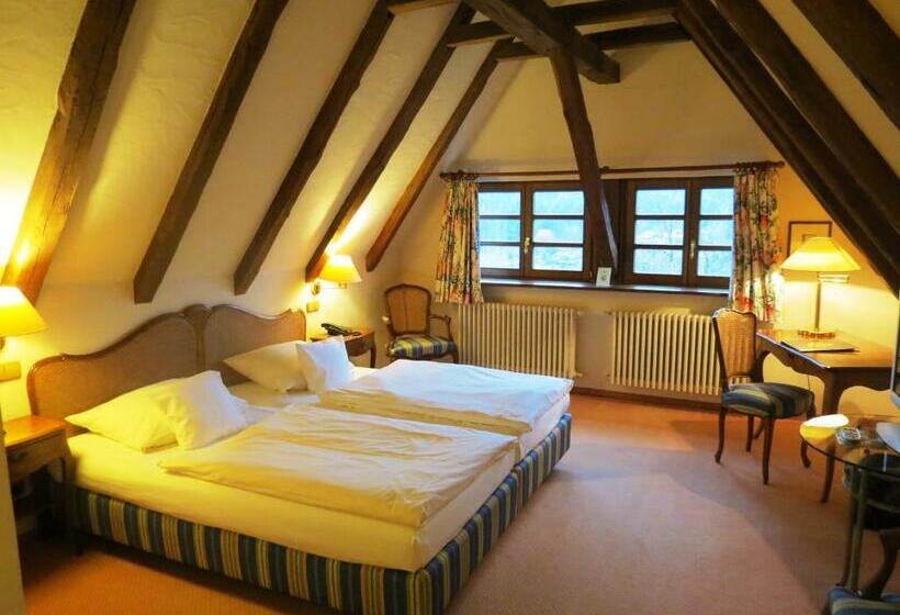 スタンダードルーム, Landhotel Der Schafhof Amorbach
