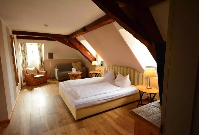 اتاق سوپریور, Landhotel Schloss Buttenheim