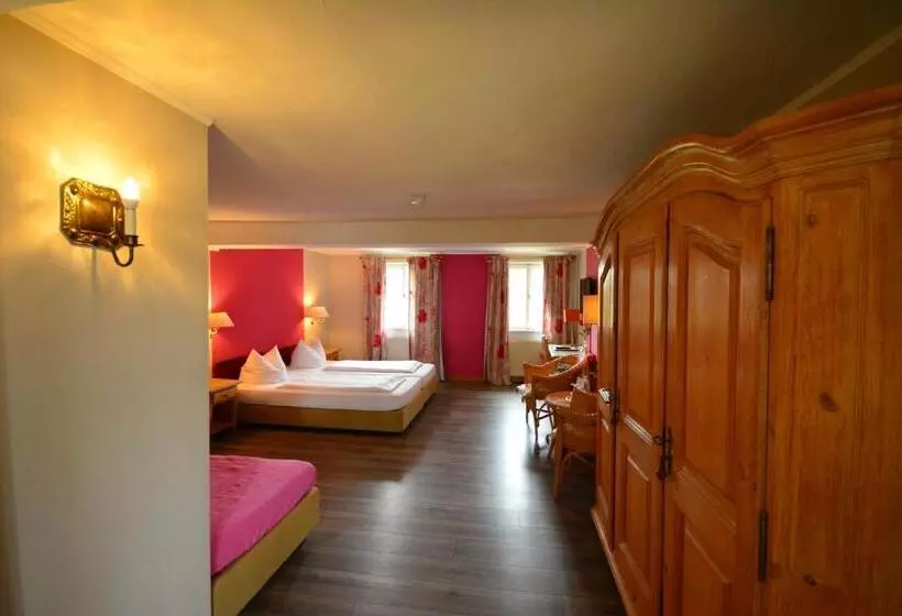 اتاق سوپریور, Landhotel Schloss Buttenheim