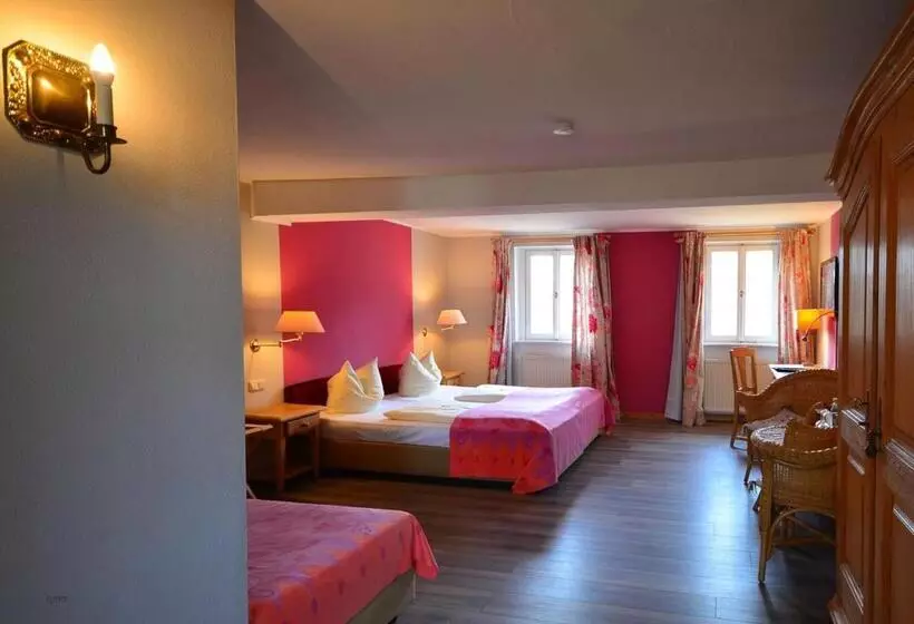 اتاق سوپریور, Landhotel Schloss Buttenheim