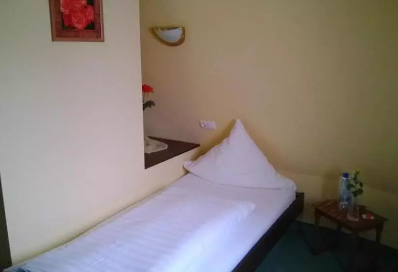 コンフォートシングルルーム, Landhotel Vierjahreszeiten