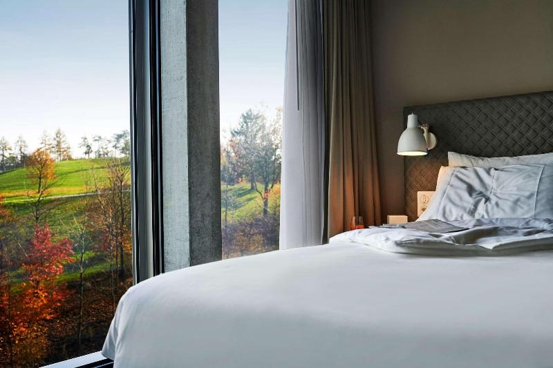 带观景的标准间, Hyatt Place Zurich Airport The Circle