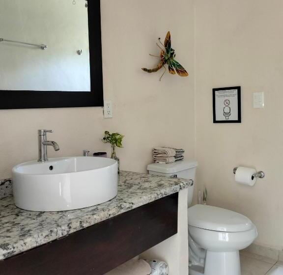 غرفة ديلوكس مطلة على حمام السباحة, Cabañas Puerto Morelos