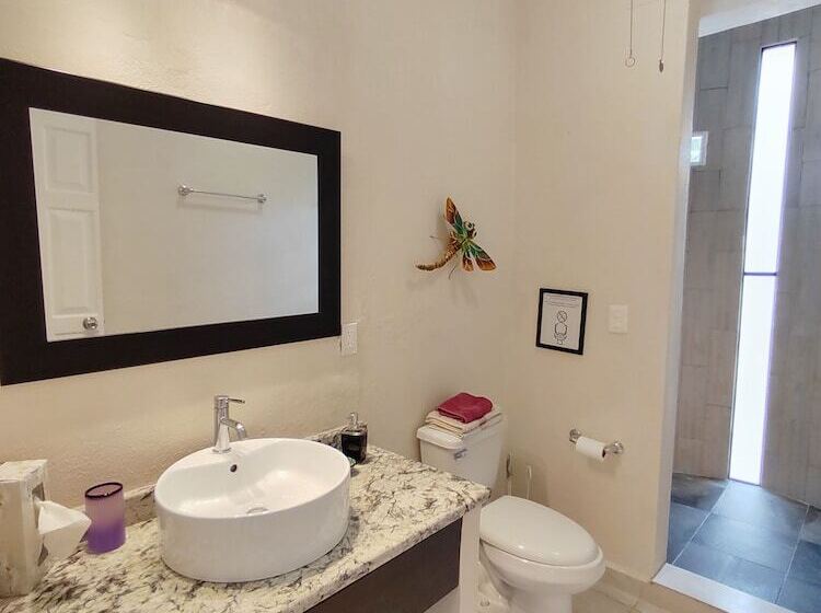 풀장 전망 스위트, Cabañas Puerto Morelos