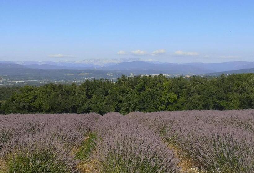 غرفة قياسية رباعية مطلة على الحديقة, Chez Nathalie Et Raphaël
