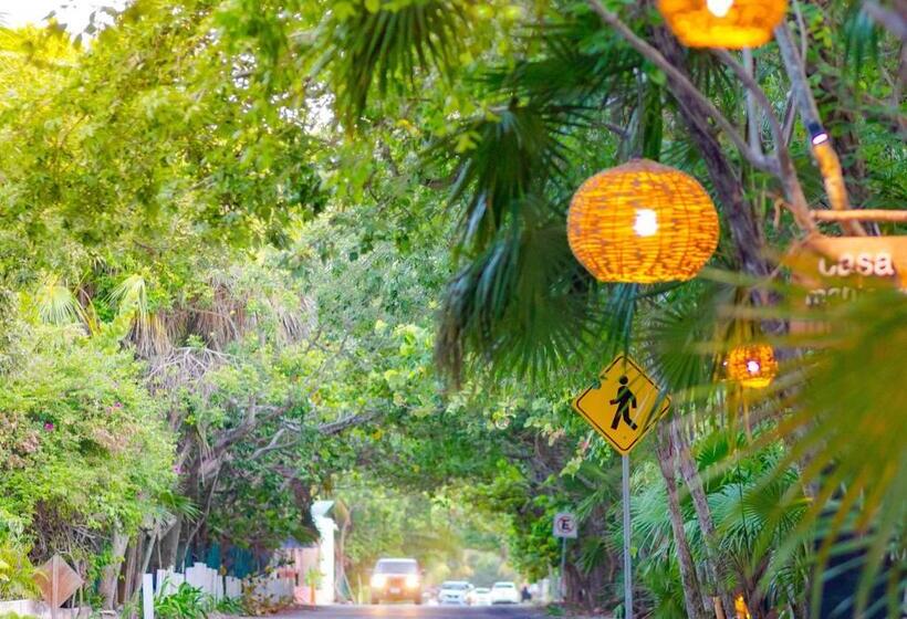 آپارتمان 1 خوابه با تراس, Iik Tulum By Groovy Stays  A Hip Condo Hotel With Wifi, Rooftop, Pool, Sleeps 6