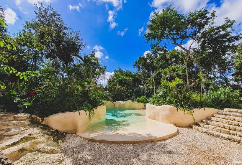 آپارتمان 1 خوابه با تراس, Iik Tulum By Groovy Stays  A Hip Condo Hotel With Wifi, Rooftop, Pool, Sleeps 6