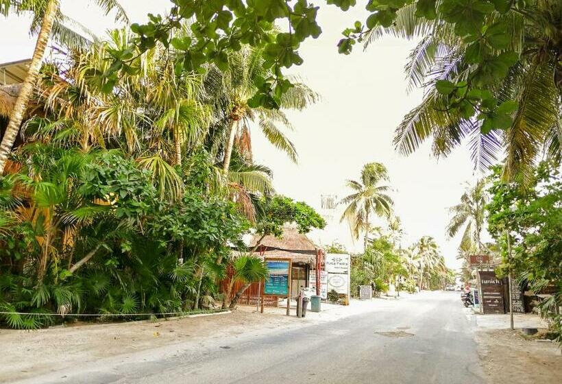 テラス付き１ベッドルームアパートメント, Iik Tulum By Groovy Stays  A Hip Condo Hotel With Wifi, Rooftop, Pool, Sleeps 6