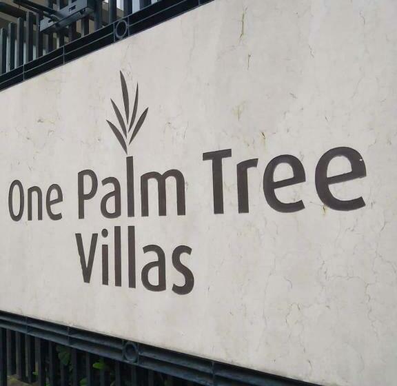 استودیوی استاندارد, Mrmcondotel