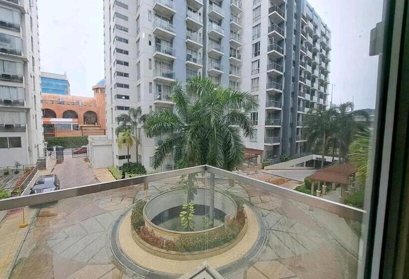 استودیوی استاندارد, Mrmcondotel