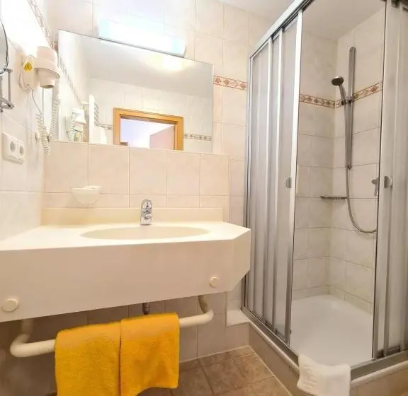 プールの見えるシングルルーム, Thermenhotel Tannenhof Ihr Wohlfühl