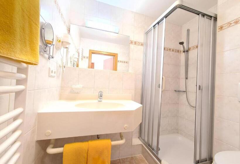 Одноместный Номер Вид на Бассейн, Thermenhotel Tannenhof   Ihr Wohlfühl