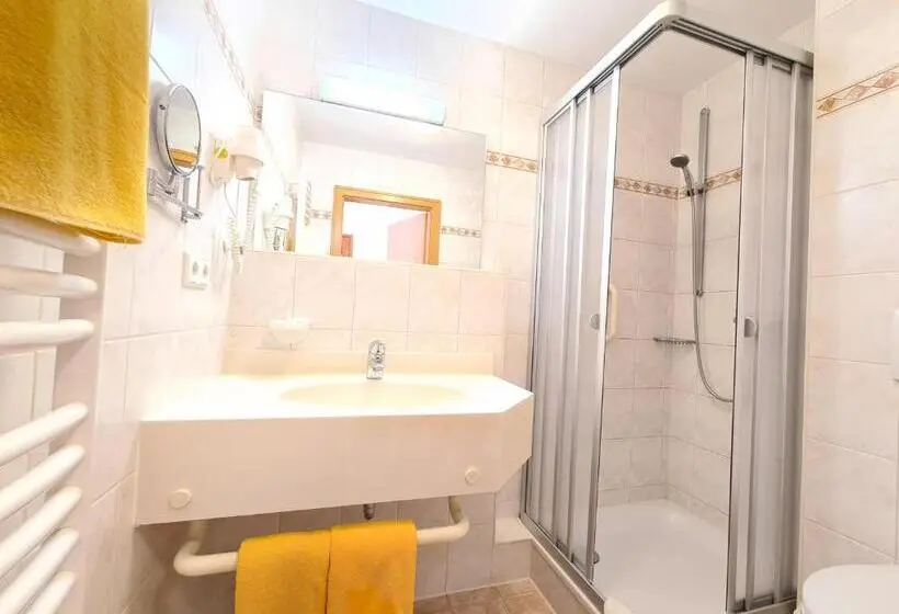 プールの見えるシングルルーム, Thermenhotel Tannenhof Ihr Wohlfühl