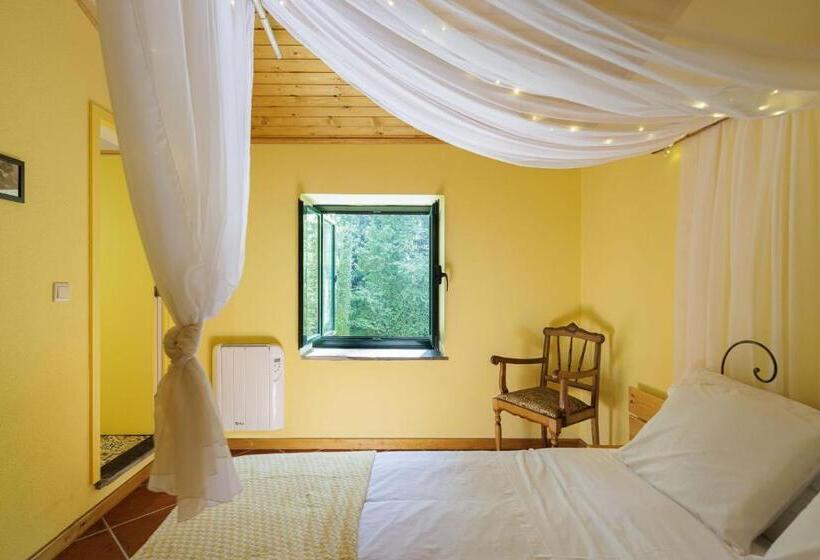 スタンダードルーム, Be&see In River