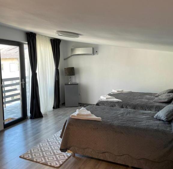اتاق استاندارد سه نفره, Casa Paraschiva