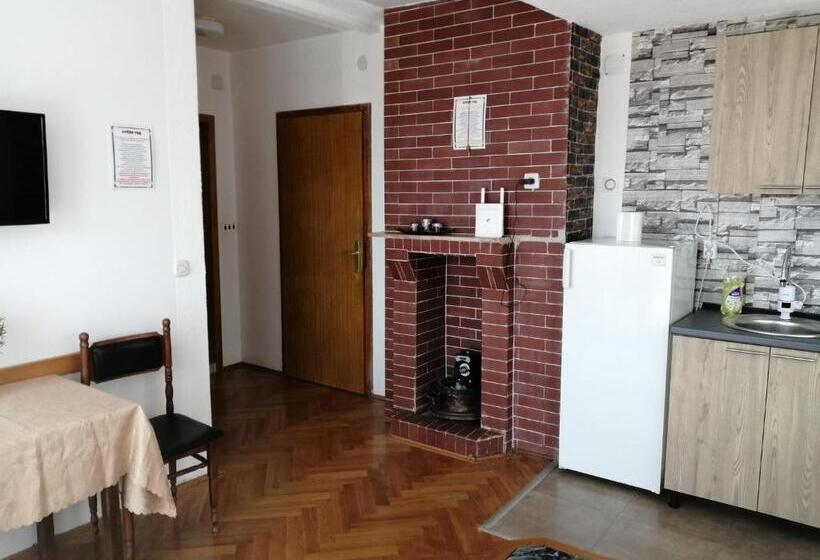 اتاق خانوادگی, Vila Visni