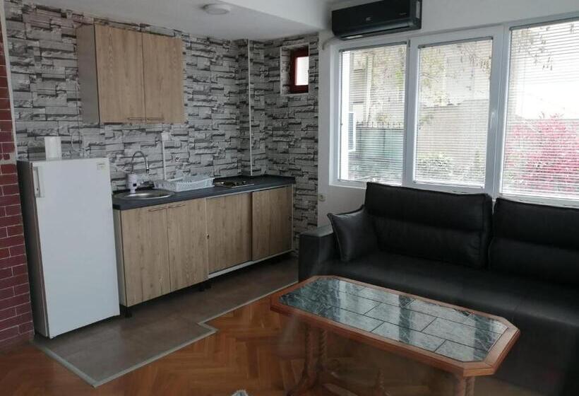 اتاق خانوادگی, Vila Visni