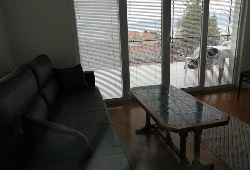 اتاق خانوادگی, Vila Visni