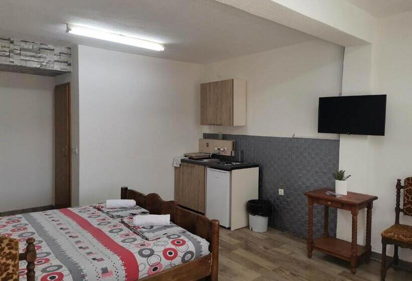 استودیوی استاندارد, Vila Visni