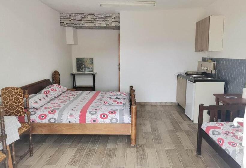 استودیوی استاندارد, Vila Visni