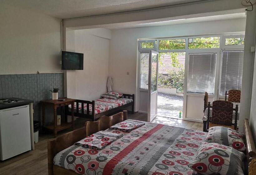 استودیوی استاندارد, Vila Visni