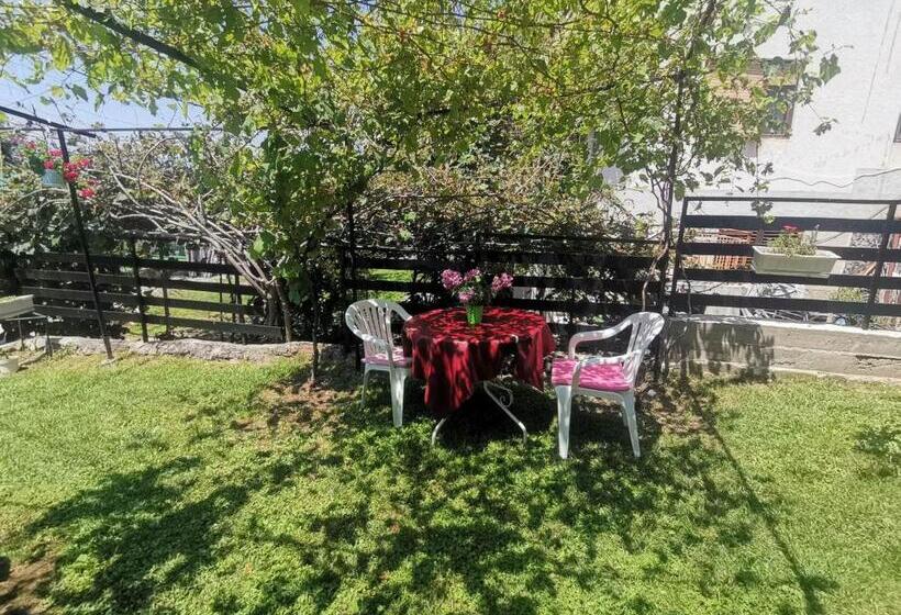 استودیوی استاندارد, Vila Visni