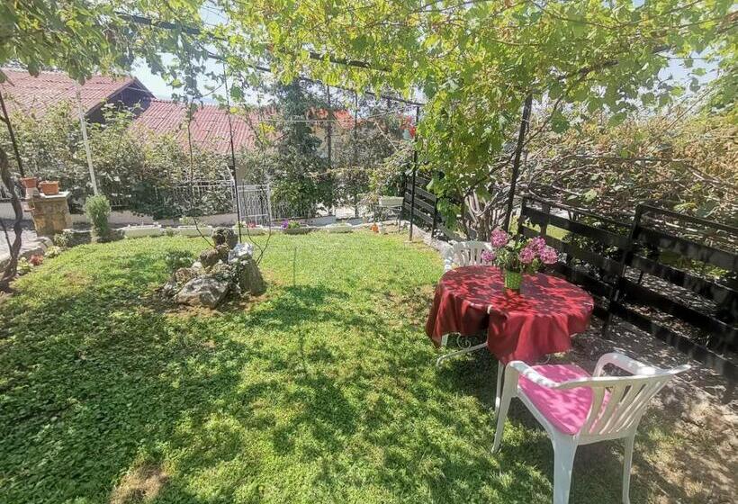 استودیوی استاندارد, Vila Visni