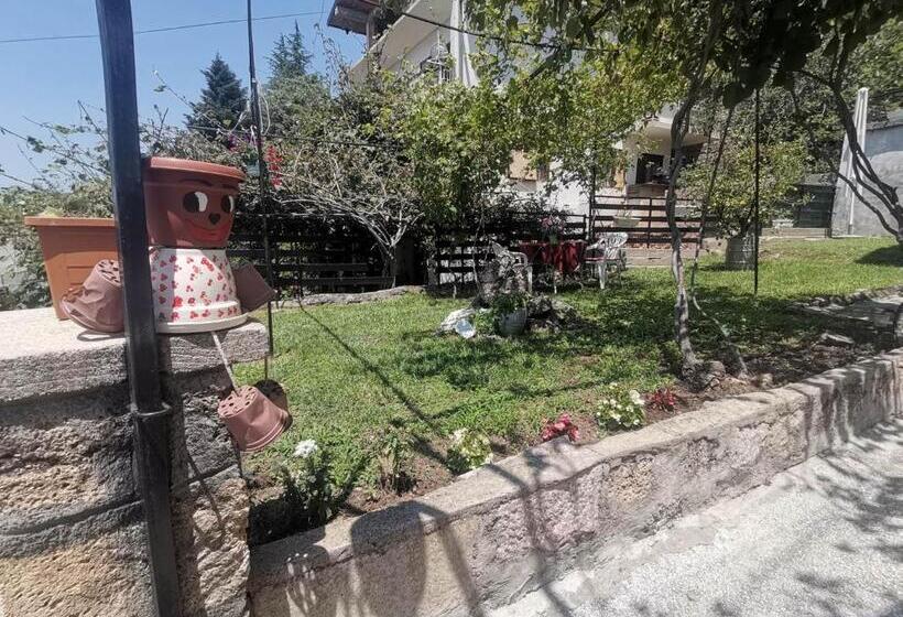 استودیوی استاندارد, Vila Visni