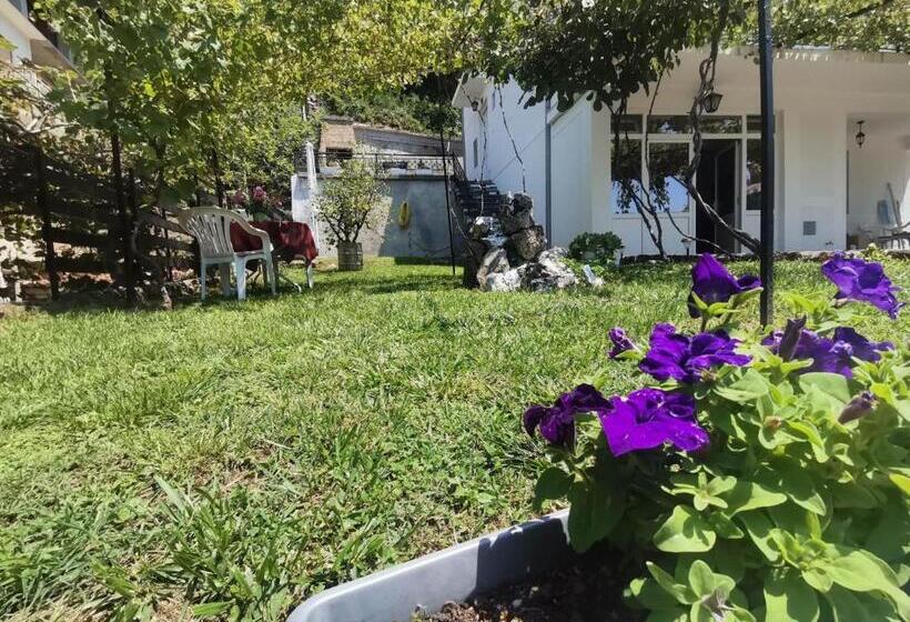 استودیوی استاندارد, Vila Visni