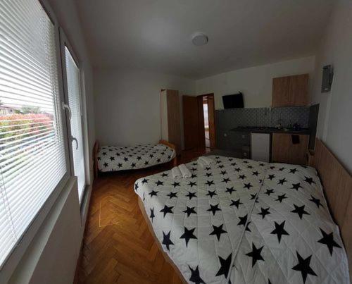 اتاق استاندارد چهار تخته, Vila Visni