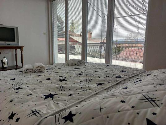 اتاق خانوادگی, Vila Visni