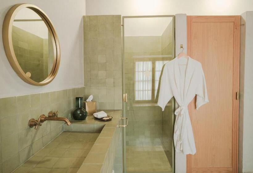 Номер Стандарт, Hércules