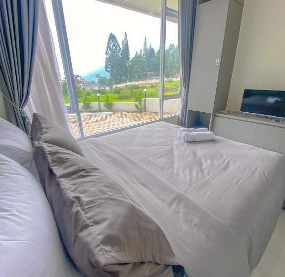 Deluxe Studio, Algara Puncak