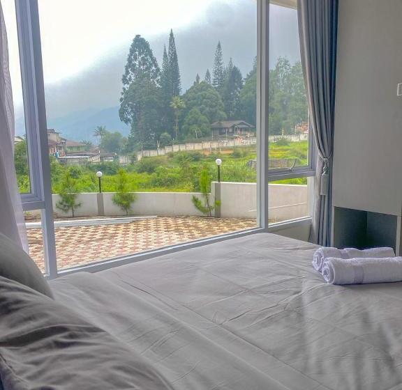 디럭스 스튜디오, Algara Puncak