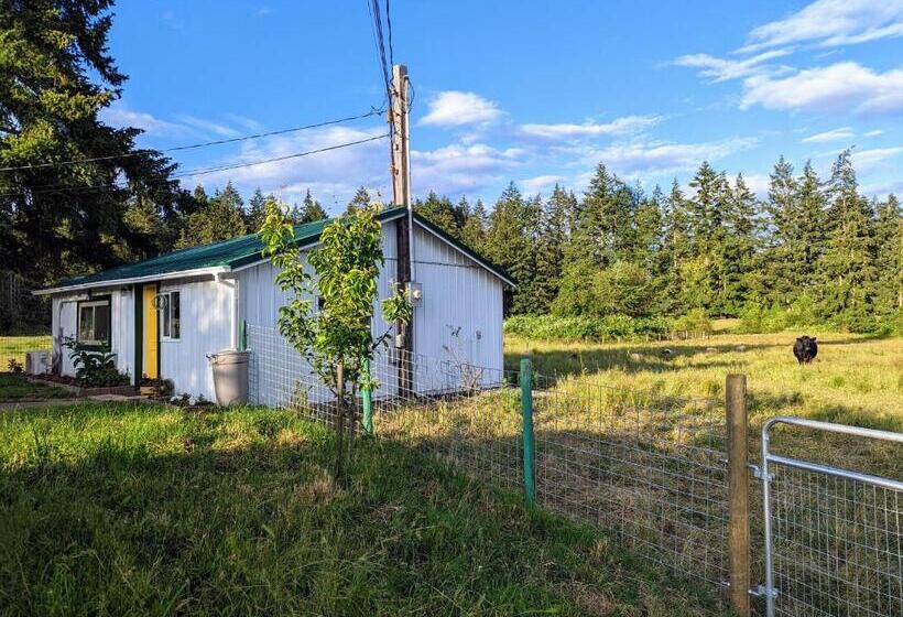 小室, The Cottage On The Farm