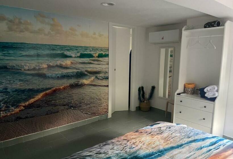 스탠다드 룸, Vindicio