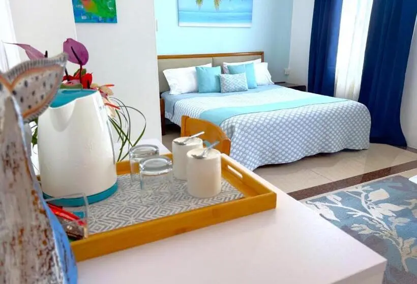 اتاق سوپریور با تخت بزرگ, Residence Le Point Choisy