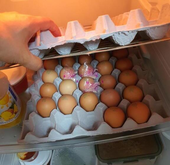 エコノミーシングルルーム, Irich House