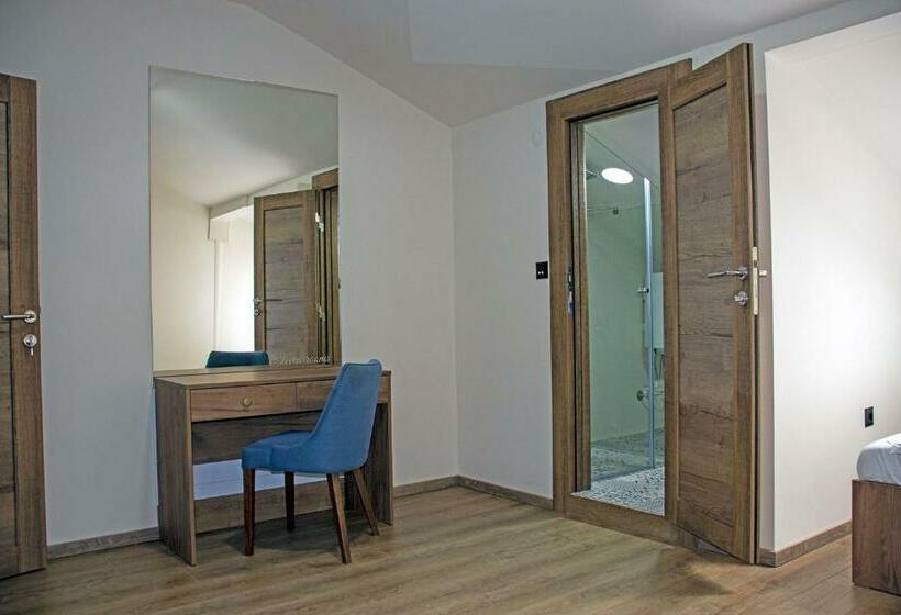 اتاق استاندارد با تخت بزرگ, Elevenrooms