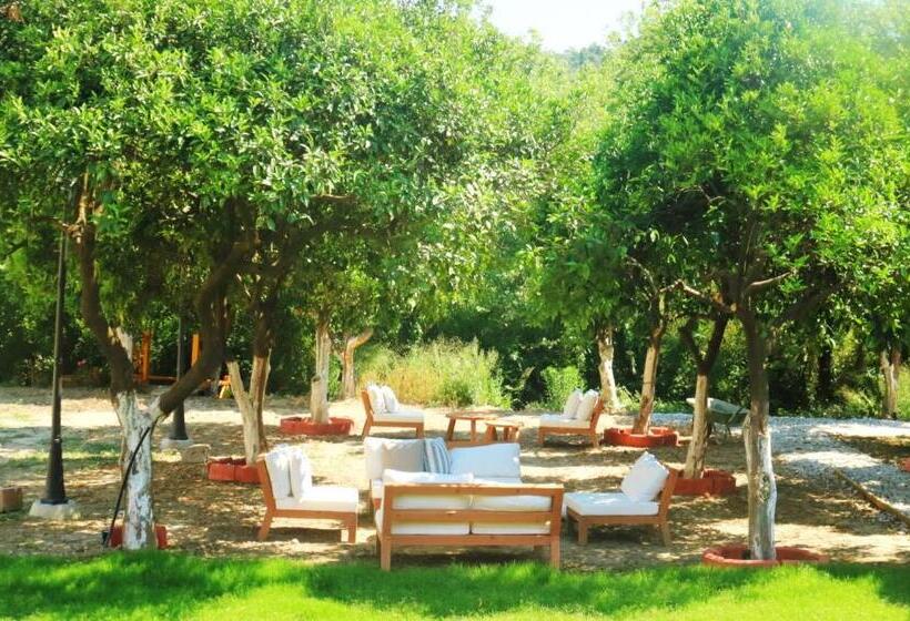 스탠다드 트리플 룸, Orange Garden Hotel Akyaka