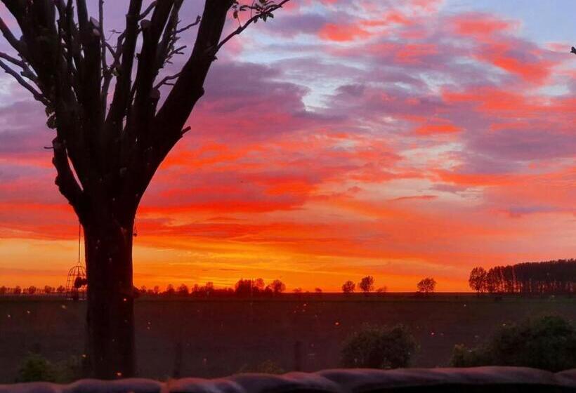 غرفة قياسية, B&b Hieris T