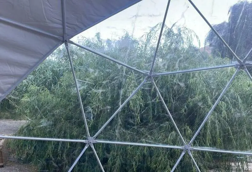 デラックストリプルルーム, Glamping Miraflores