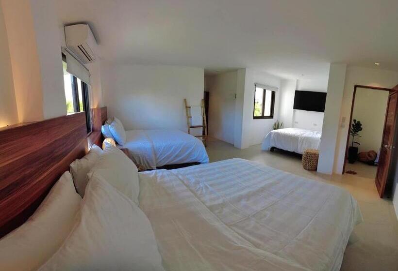 سوئیت جونیور خانوادگی, Azul De Panglao Hotel By Cocotel