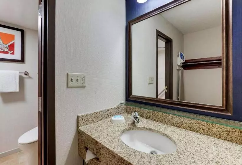 キングサイズベッドのデラックスルーム, Drury Inn & Suites St. Louis St. Peters