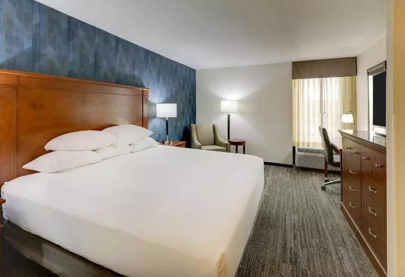 障害者適応デラックスルーム, Drury Inn & Suites St. Louis St. Peters