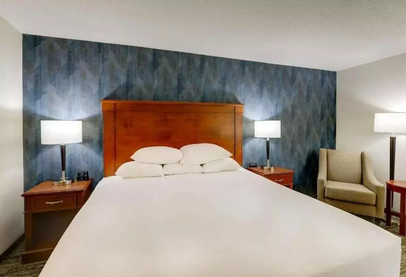 障害者適応デラックスルーム, Drury Inn & Suites St. Louis St. Peters