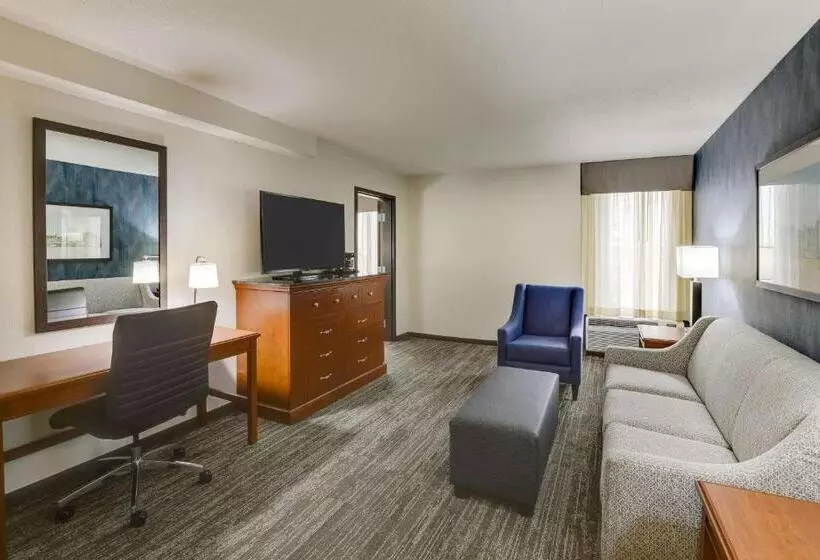 キングサイズベッドのデラックススイート, Drury Inn & Suites St. Louis St. Peters