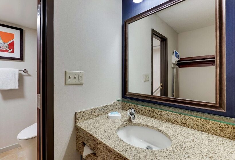 غرفة ديلوكس, Drury Inn & Suites St. Louis St. Peters