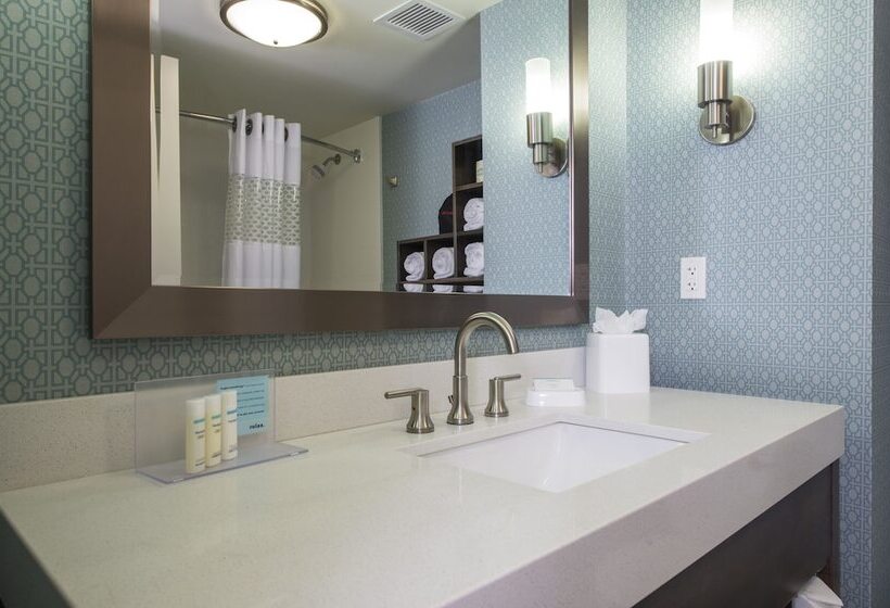 غرفة قياسية سرير كينج, Hampton Inn Greenville/i385 Haywood Mall