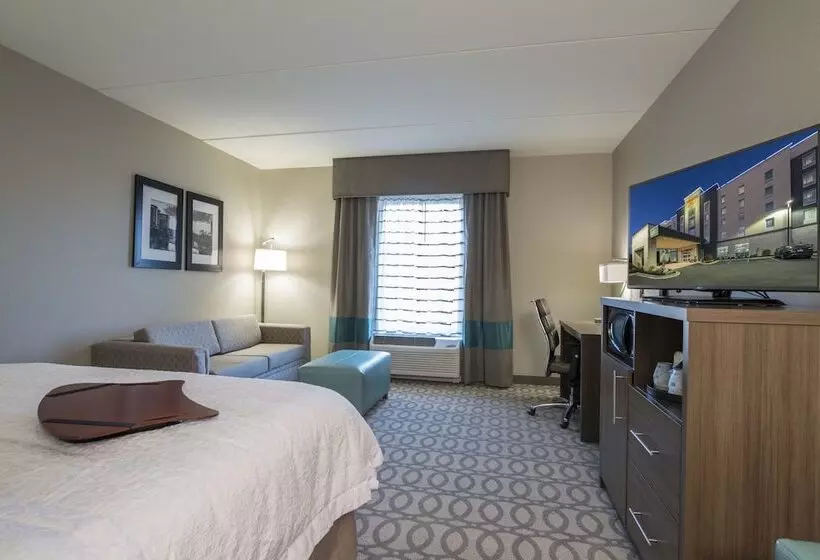 キングサイズベッドのスタンダードルーム, Hampton Inn Greenville/i385 Haywood Mall
